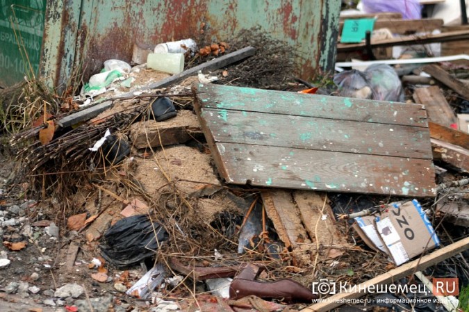 Жители микрорайона «Поликор» просят решить мусорную проблему фото 5