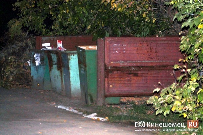 Жители микрорайона «Поликор» просят решить мусорную проблему фото 19