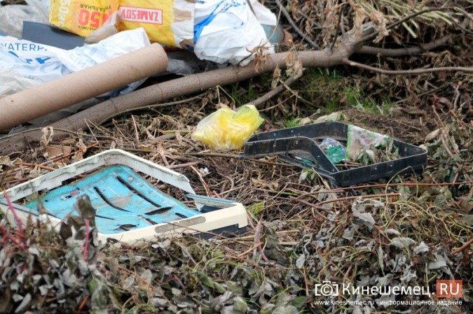 Жители микрорайона «Поликор» просят решить мусорную проблему фото 11