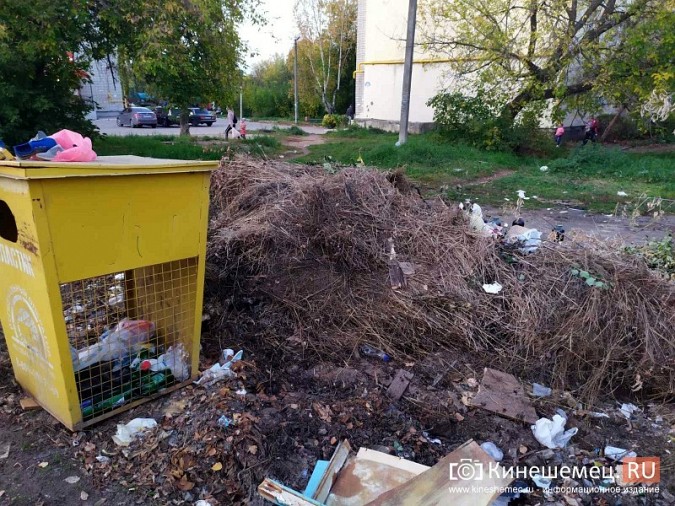 Жители микрорайона «Поликор» просят решить мусорную проблему фото 23