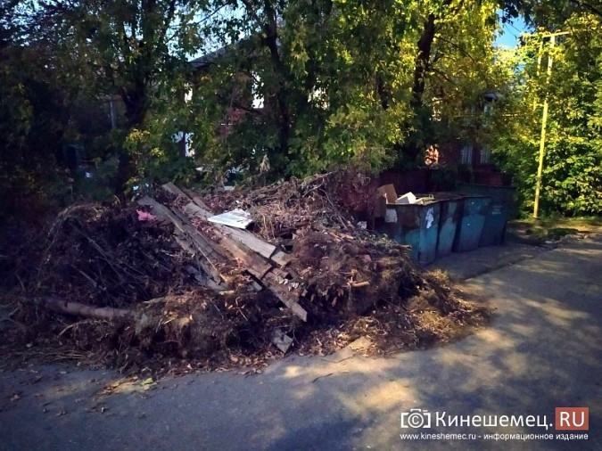 Жители микрорайона «Поликор» просят решить мусорную проблему фото 24
