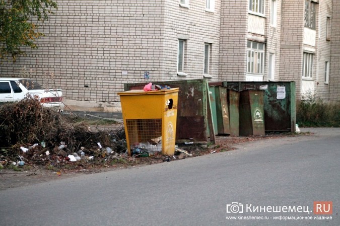 Жители микрорайона «Поликор» просят решить мусорную проблему фото 14