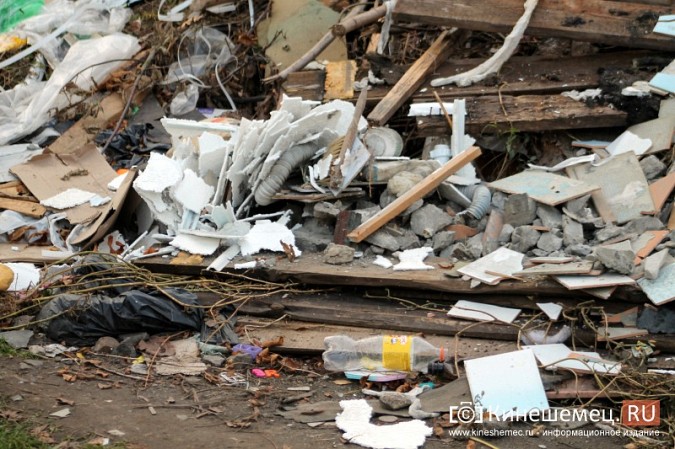 Жители микрорайона «Поликор» просят решить мусорную проблему фото 4