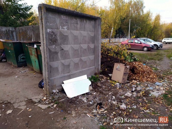 Жители микрорайона «Поликор» просят решить мусорную проблему фото 21