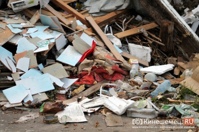 Жители микрорайона «Поликор» просят решить мусорную проблему фото 3