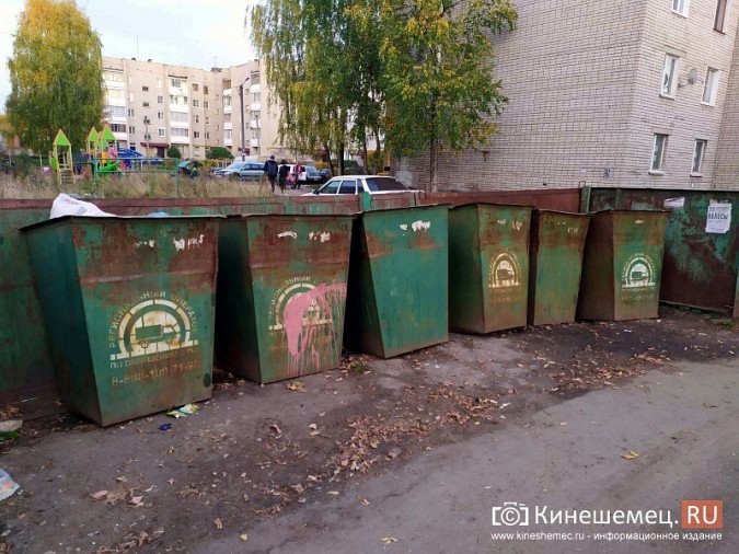 Жители микрорайона «Поликор» просят решить мусорную проблему фото 29