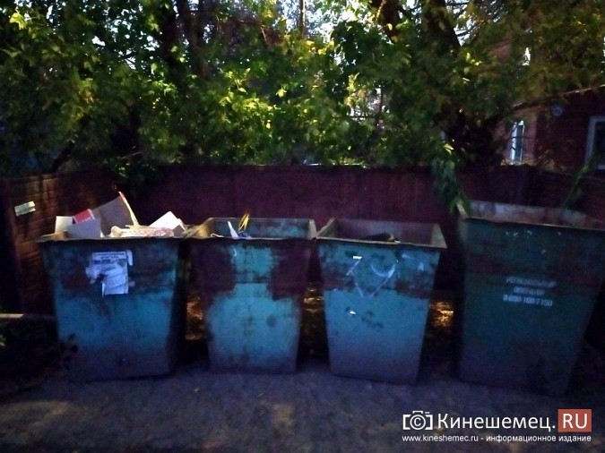Жители микрорайона «Поликор» просят решить мусорную проблему фото 27