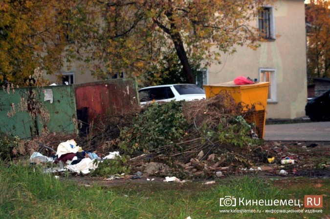 Жители микрорайона «Поликор» просят решить мусорную проблему фото 17