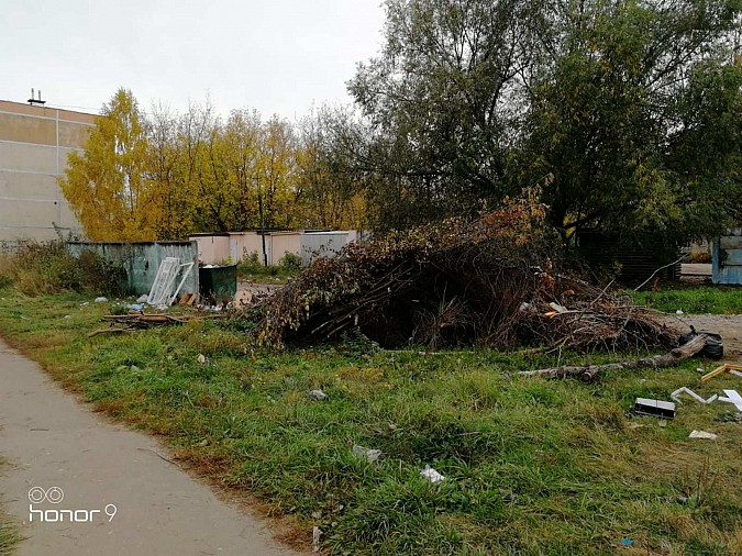 Улица Боборыкина: мусорный пейзаж на фоне школы фото 7