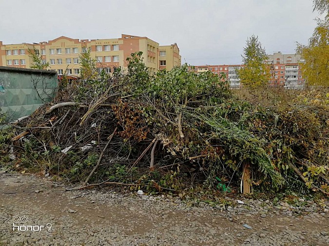 Улица Боборыкина: мусорный пейзаж на фоне школы фото 3
