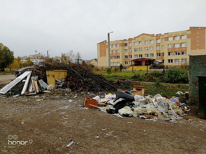 Улица Боборыкина: мусорный пейзаж на фоне школы фото 2