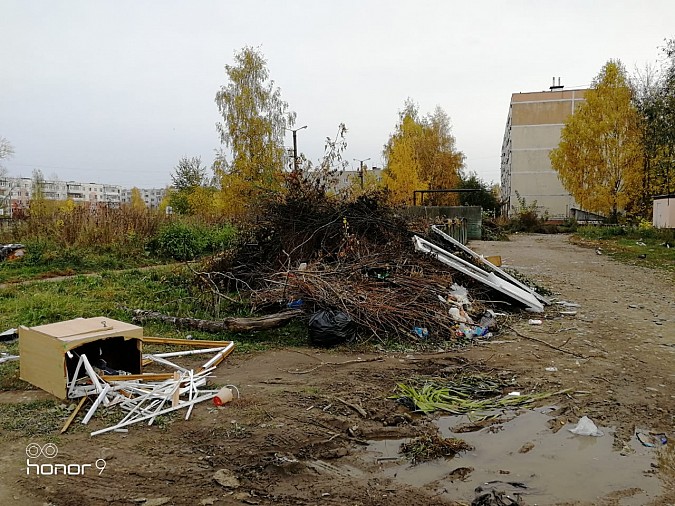 Улица Боборыкина: мусорный пейзаж на фоне школы фото 6