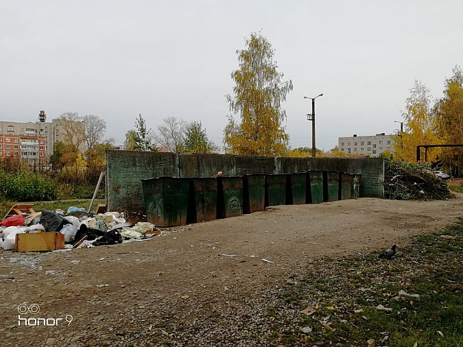 Улица Боборыкина: мусорный пейзаж на фоне школы фото 4
