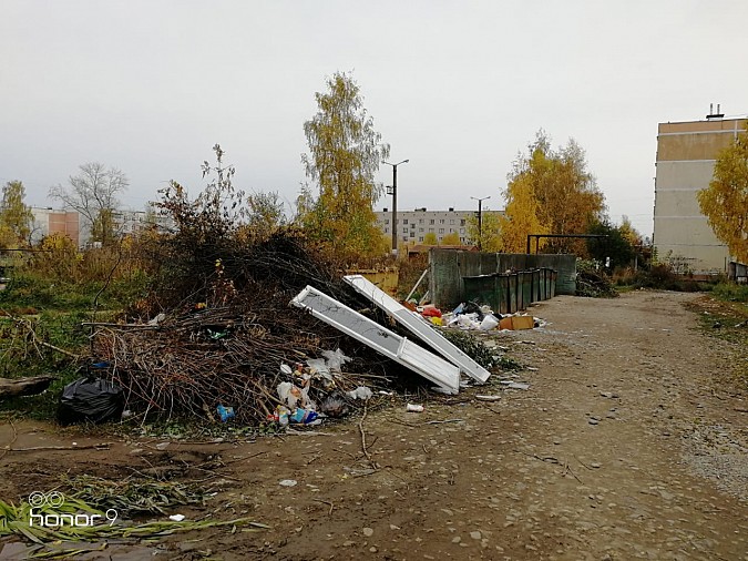 Улица Боборыкина: мусорный пейзаж на фоне школы фото 8