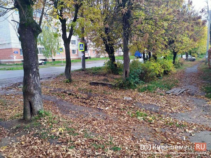 Аварию на водопроводе в микрорайоне «ДХЗ» устранят после выдачи разрешения на раскопки фото 2