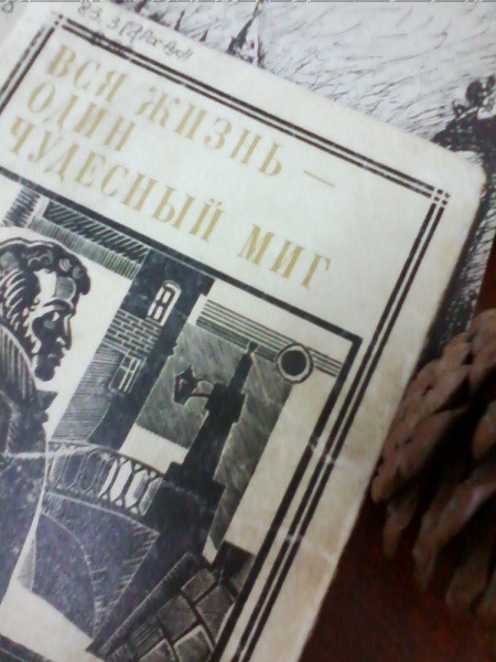 В кинешемской библиотеке провели «Пушкинские чтения» фото 5