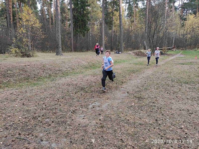 В Кинешме прошел «Кросс Наций» фото 2