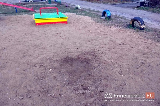 Хулиганы начали разрушать детские площадки в Кинешме фото 3