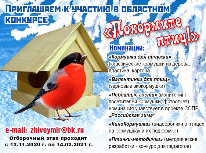 В Синичкин день в Кинешме стартовал конкурс по подкормке птиц фото 2