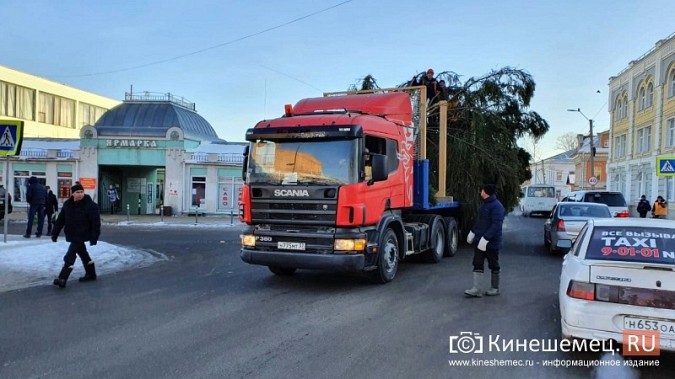 В Кинешму привезли главную новогоднюю елку фото 4