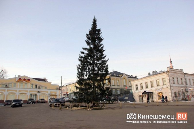 В УГХ уверены, что главной новогодней елке ветер не помеха фото 10