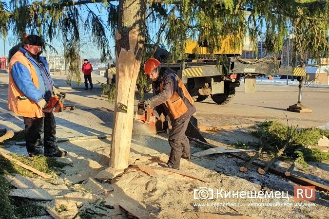 В УГХ уверены, что главной новогодней елке ветер не помеха фото 6