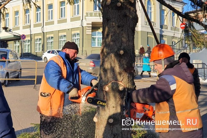 В УГХ уверены, что главной новогодней елке ветер не помеха фото 2