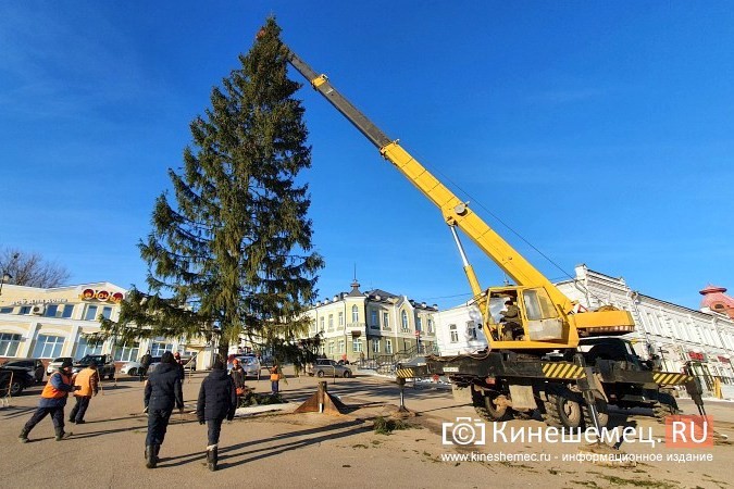 В УГХ уверены, что главной новогодней елке ветер не помеха фото 3