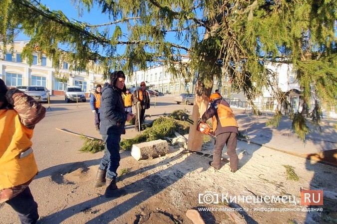 В УГХ уверены, что главной новогодней елке ветер не помеха фото 4