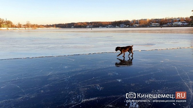 Кинешемцы облюбовали речные просторы для катания на коньках фото 8