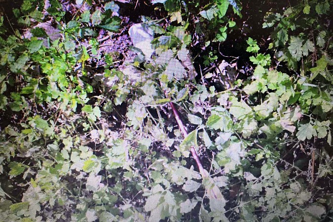 В Кинешемских колониях рассказали о самых дерзких способах передачи запрещенных предметов фото 9