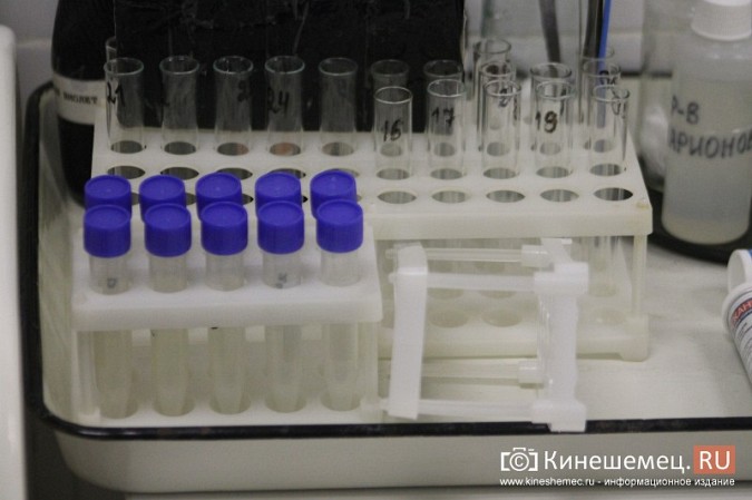 В Кинешме началась вакцинация от коронавируса фото 17