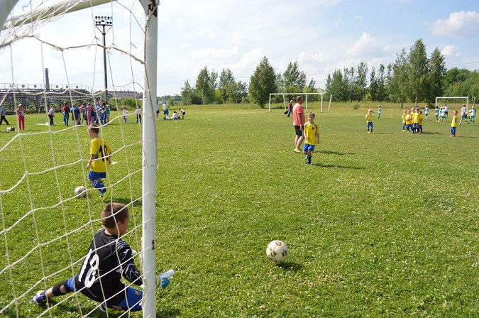 В Кинешме состоялся Турнир по футболу среди детей фото 7