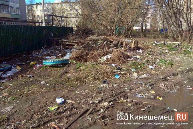 УГХ очистит от мусора территорию вокруг контейнерной площадки на улице 2-я Львовской фото 5
