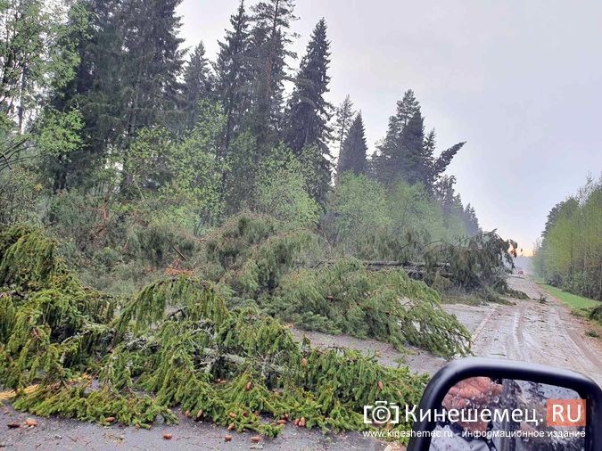 В Ивановской области устраняют последствия ураганного ветра фото 2
