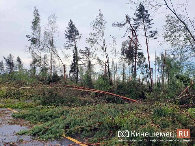 В Ивановской области устраняют последствия ураганного ветра фото 5