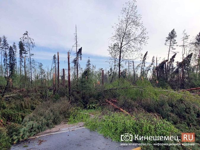 В Ивановской области устраняют последствия ураганного ветра фото 4