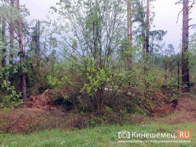 В Ивановской области устраняют последствия ураганного ветра фото 6