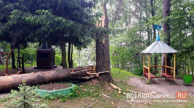 В Кинешме ураганным ветром ломало деревья, рвало линии электропередач, разрушало лоджии фото 4