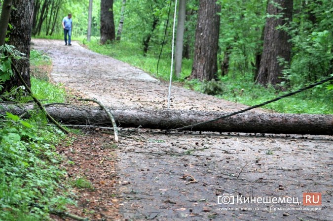 В Кинешме ураганным ветром ломало деревья, рвало линии электропередач, разрушало лоджии фото 13