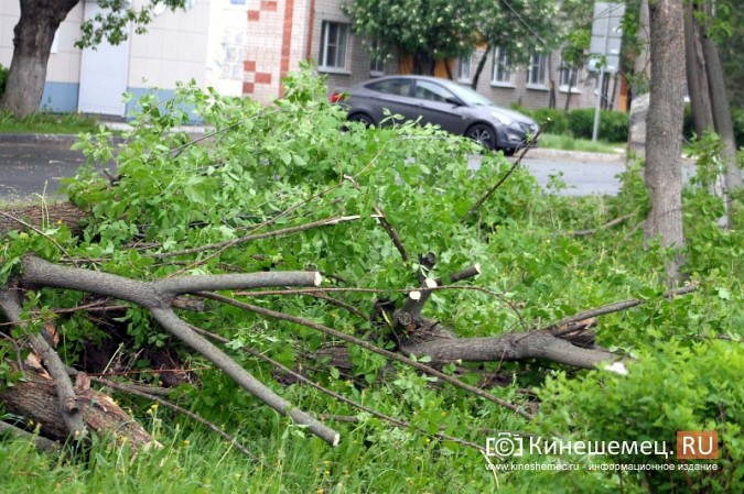В Кинешме ураганным ветром ломало деревья, рвало линии электропередач, разрушало лоджии фото 18