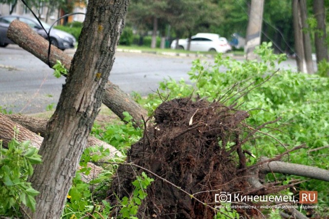 В Кинешме ураганным ветром ломало деревья, рвало линии электропередач, разрушало лоджии фото 17
