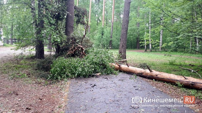 В Кинешме ураганным ветром ломало деревья, рвало линии электропередач, разрушало лоджии фото 8