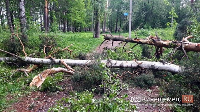 В Кинешме ураганным ветром ломало деревья, рвало линии электропередач, разрушало лоджии фото 6