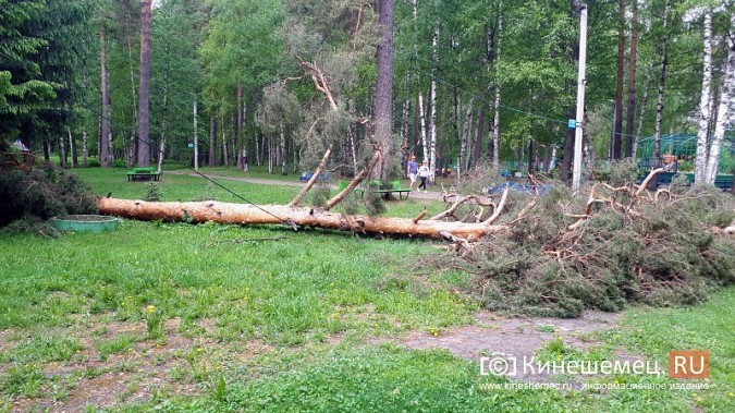 В Кинешме ураганным ветром ломало деревья, рвало линии электропередач, разрушало лоджии фото 3
