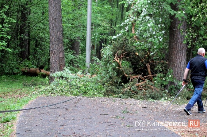 В Кинешме ураганным ветром ломало деревья, рвало линии электропередач, разрушало лоджии фото 15
