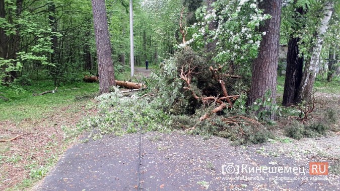 В Кинешме ураганным ветром ломало деревья, рвало линии электропередач, разрушало лоджии фото 10
