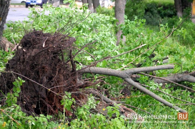В Кинешме ураганным ветром ломало деревья, рвало линии электропередач, разрушало лоджии фото 19
