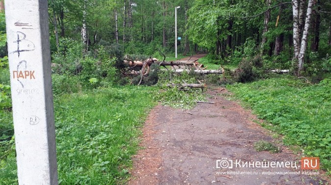 В Кинешме ураганным ветром ломало деревья, рвало линии электропередач, разрушало лоджии фото 5