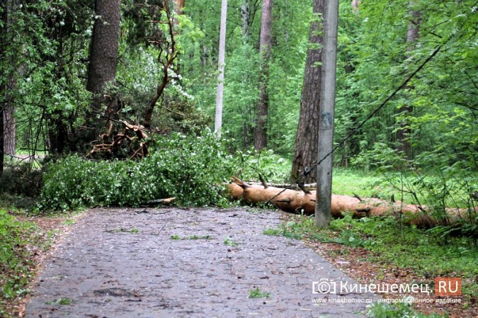 В Кинешме ураганным ветром ломало деревья, рвало линии электропередач, разрушало лоджии фото 14